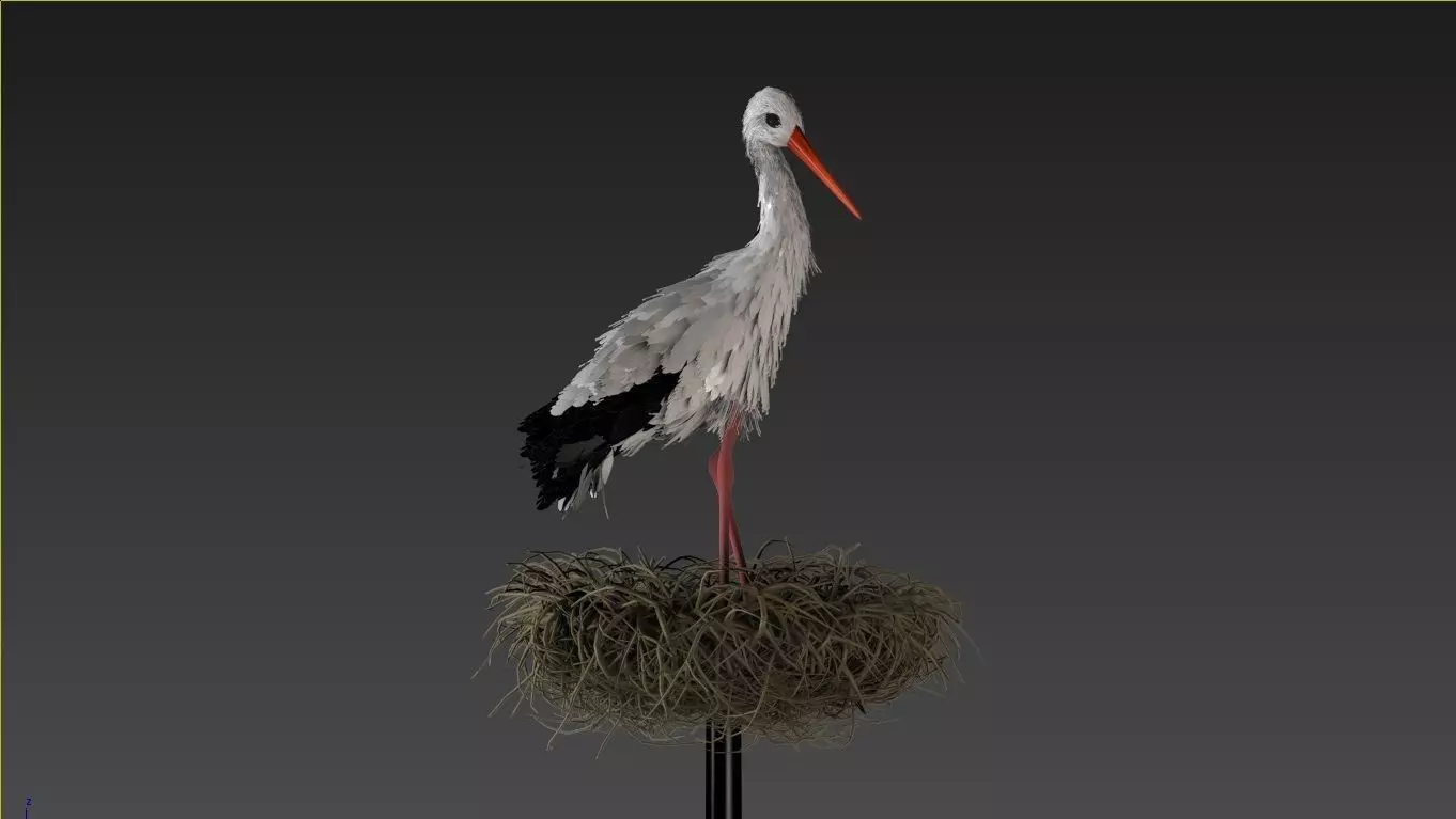 Stork 3D model feathers  3D model_0