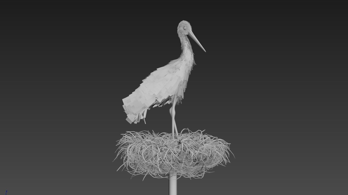 Stork 3D model feathers  3D model_2