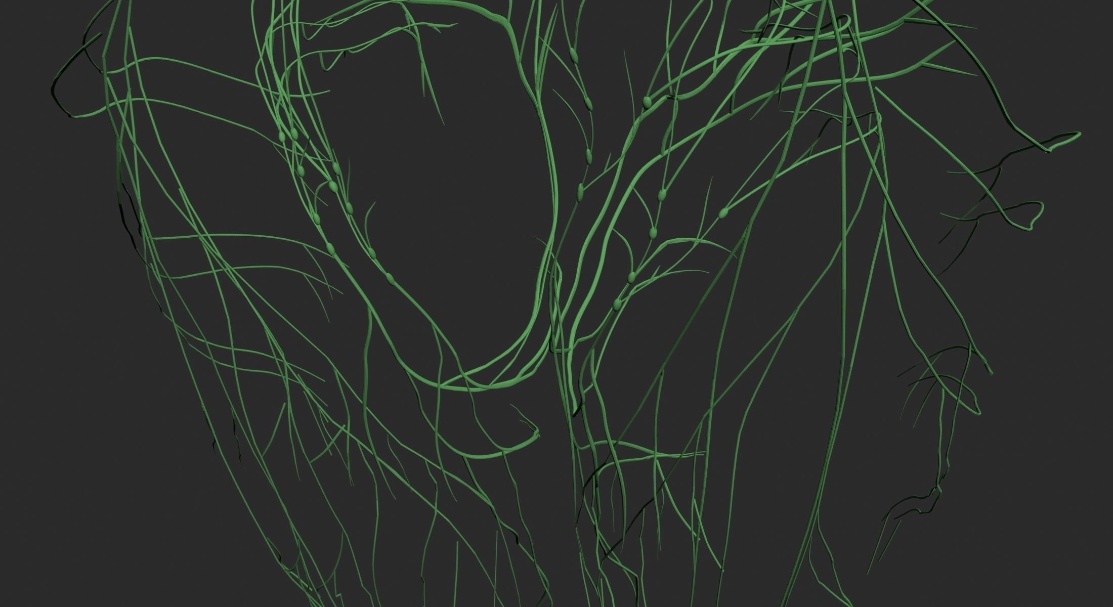 Lymphatic System with Skeleton 3DSmax 3D model_6