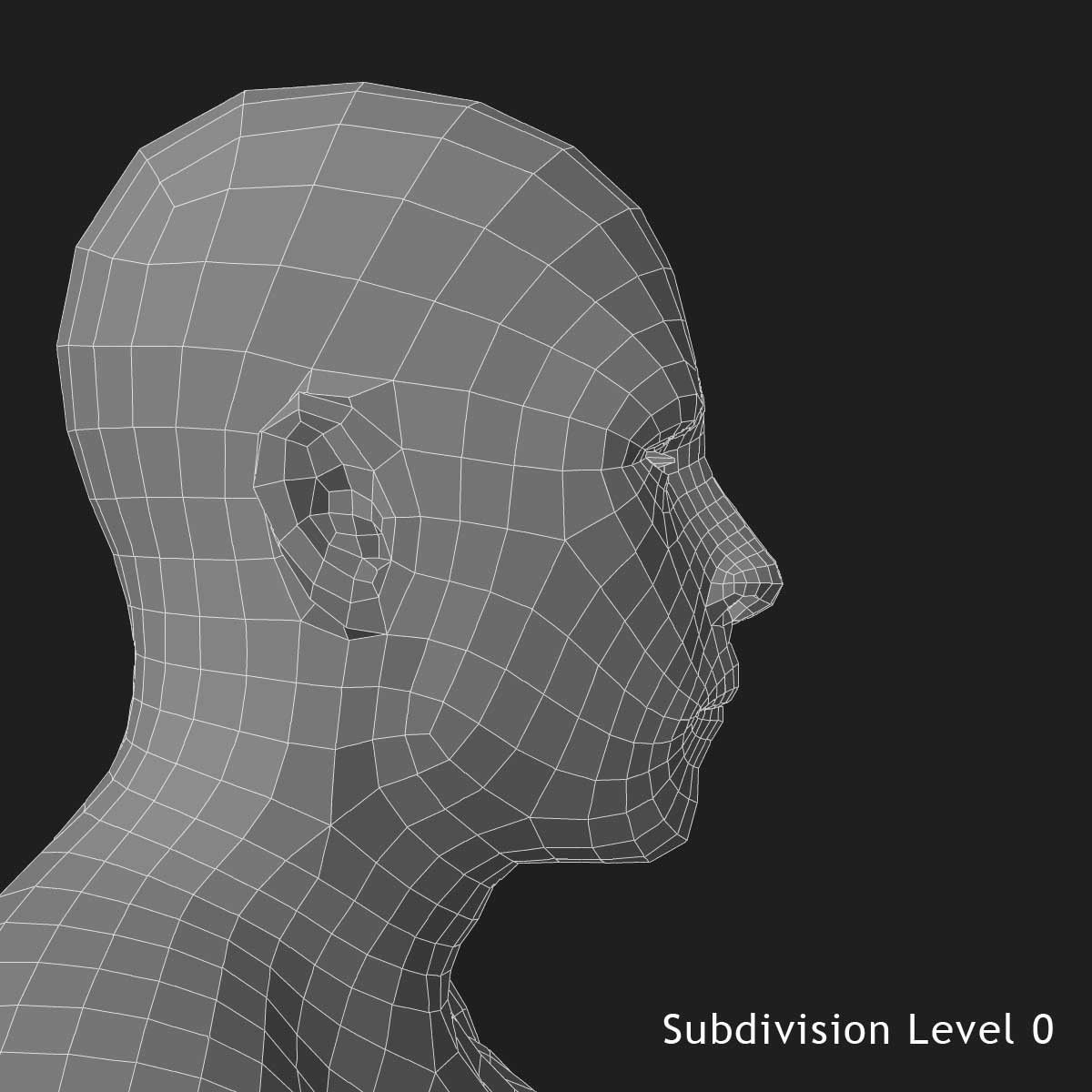 Lymphatic System with Skeleton 3DSmax 3D model_16