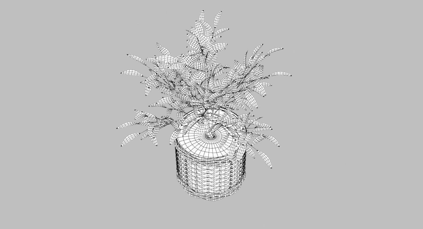 Green Plant in Ceramic Pot 3D model_8