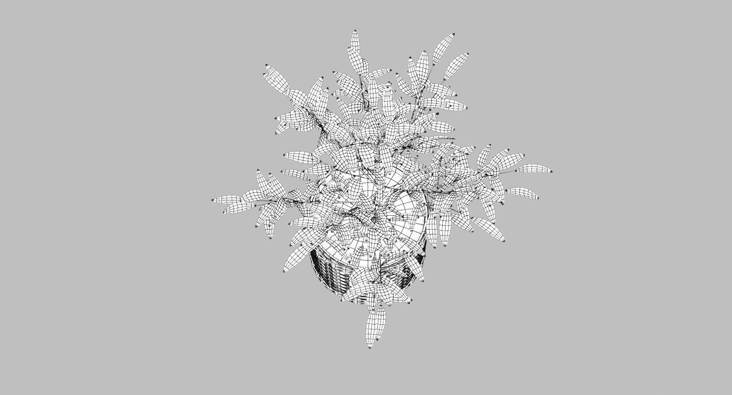 Green Plant in Ceramic Pot 3D model_10