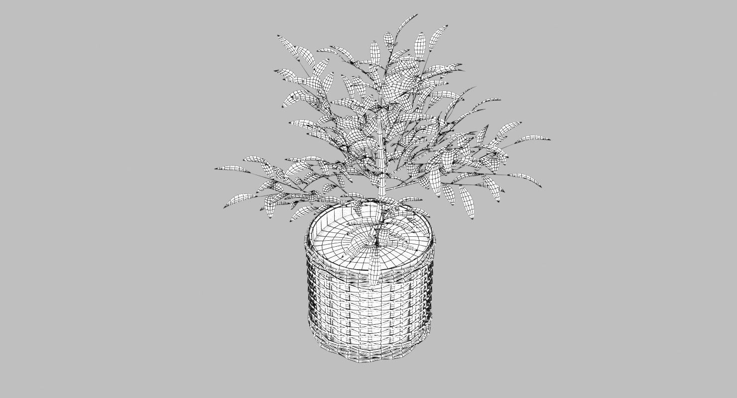 Green Plant in Ceramic Pot 3D model_7