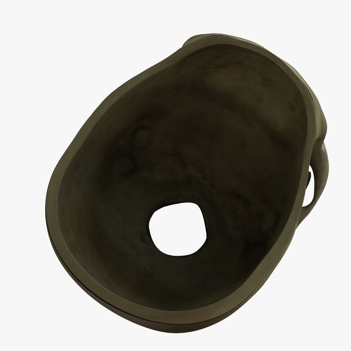 Human Skull with Brain 3D model_7