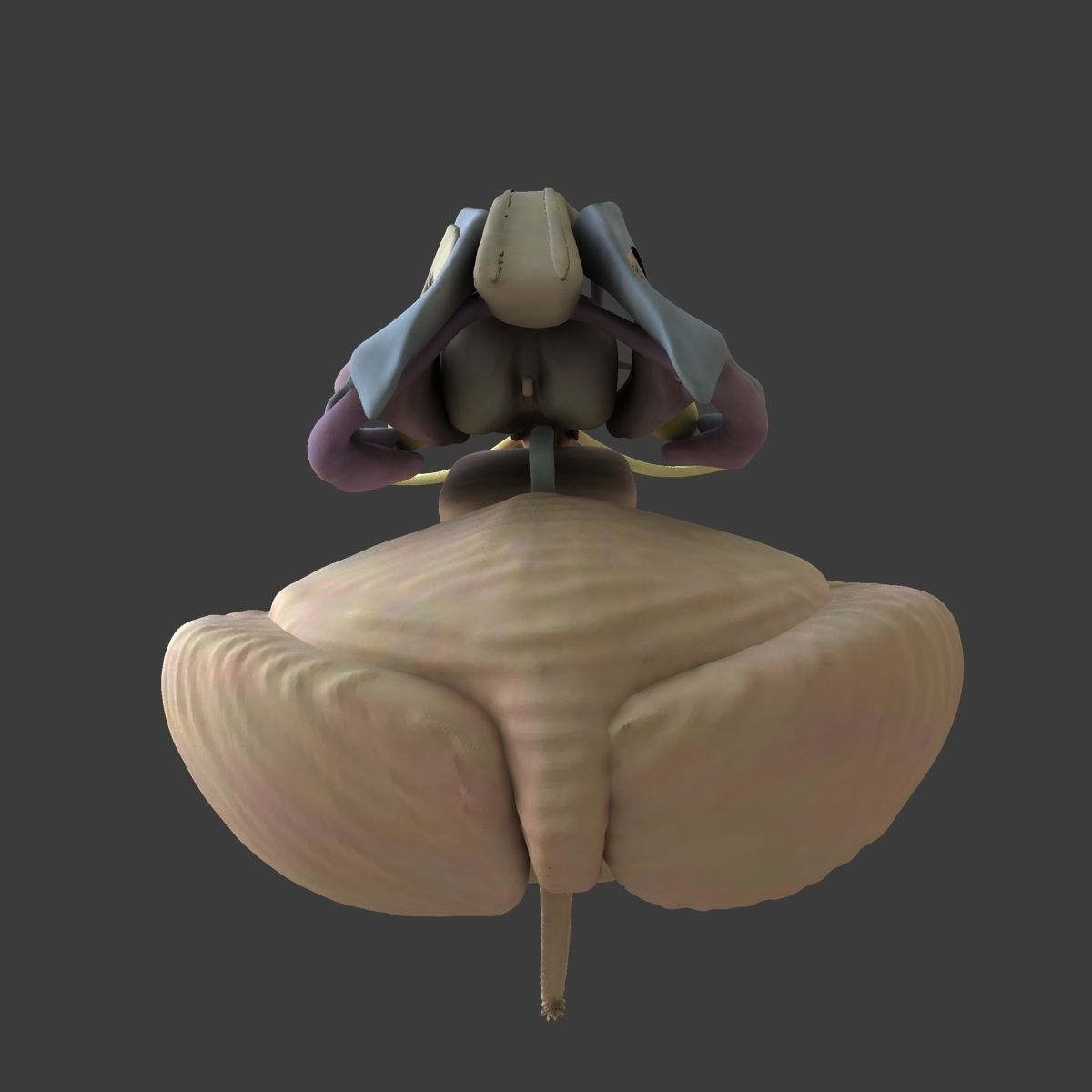 Human Skull with Brain 3D model_22