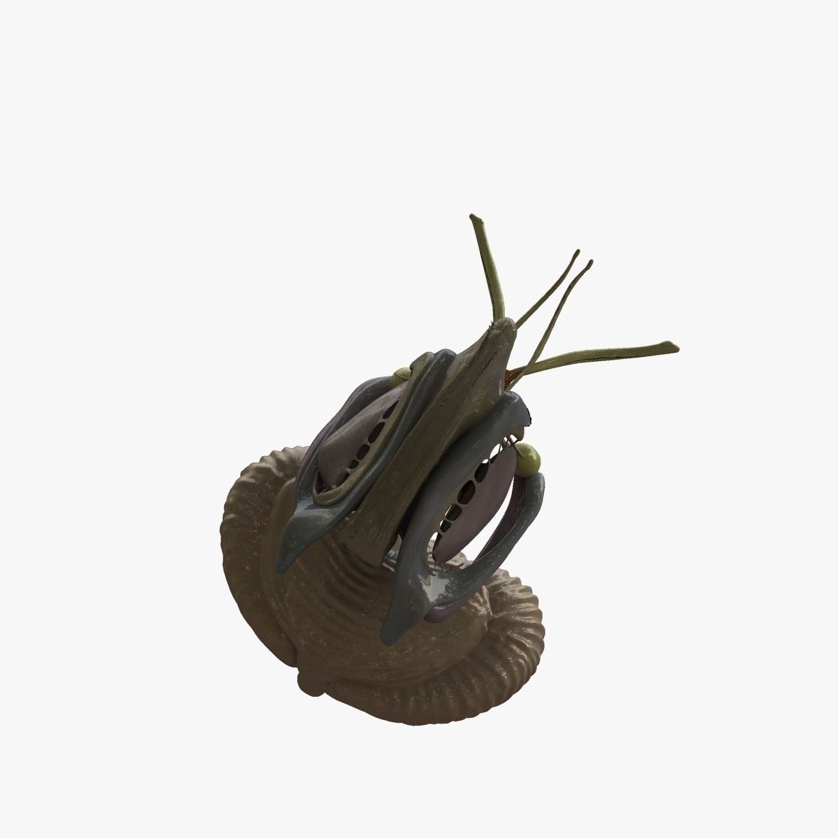 Human Skull with Brain 3D model_31