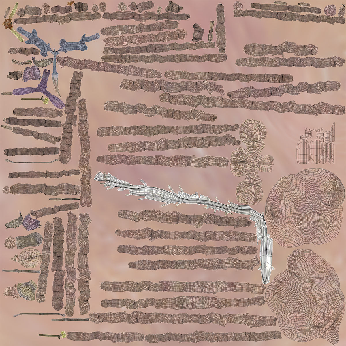 Detailed Human Brain Strucutre 3D model_22