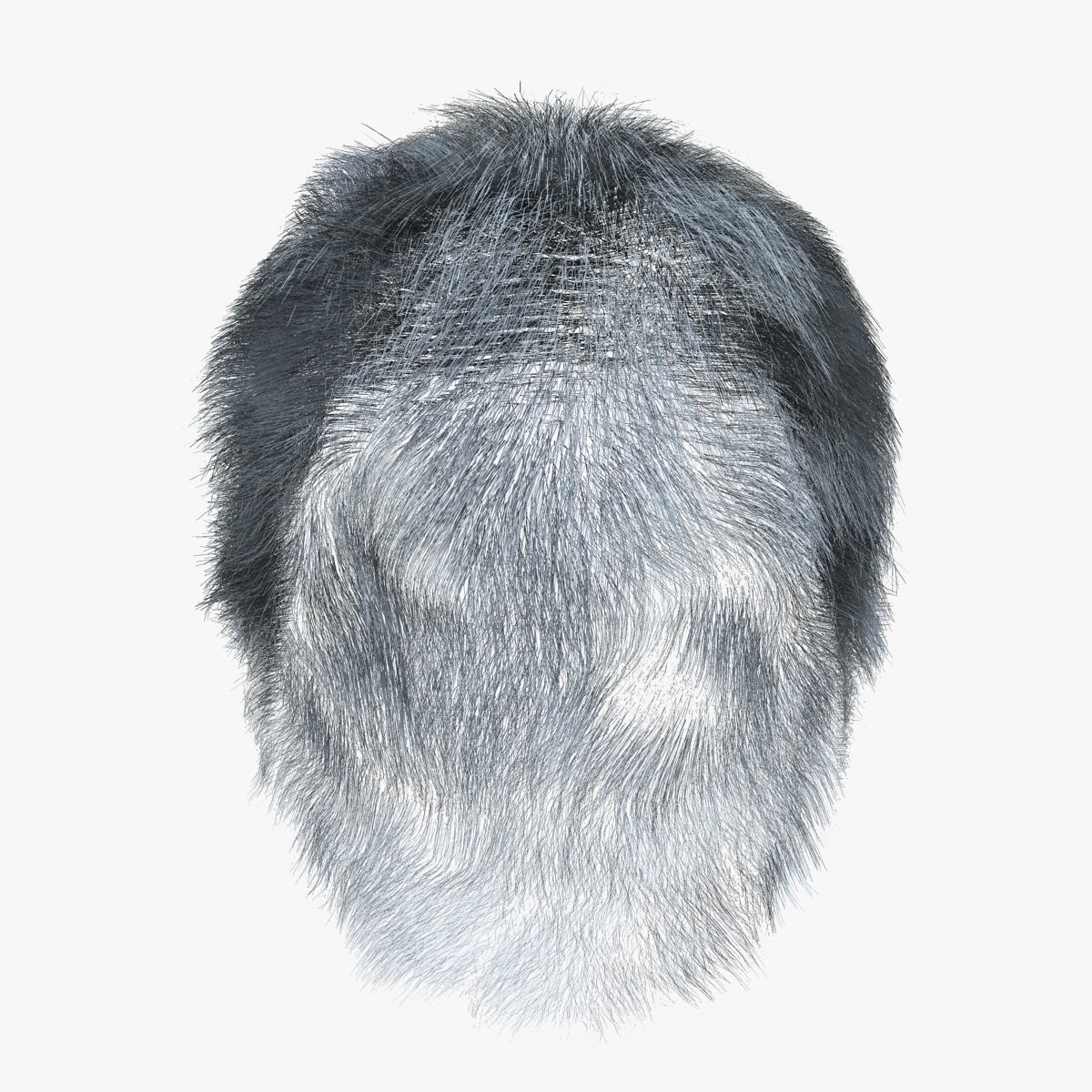 Male Hair 3D model_8