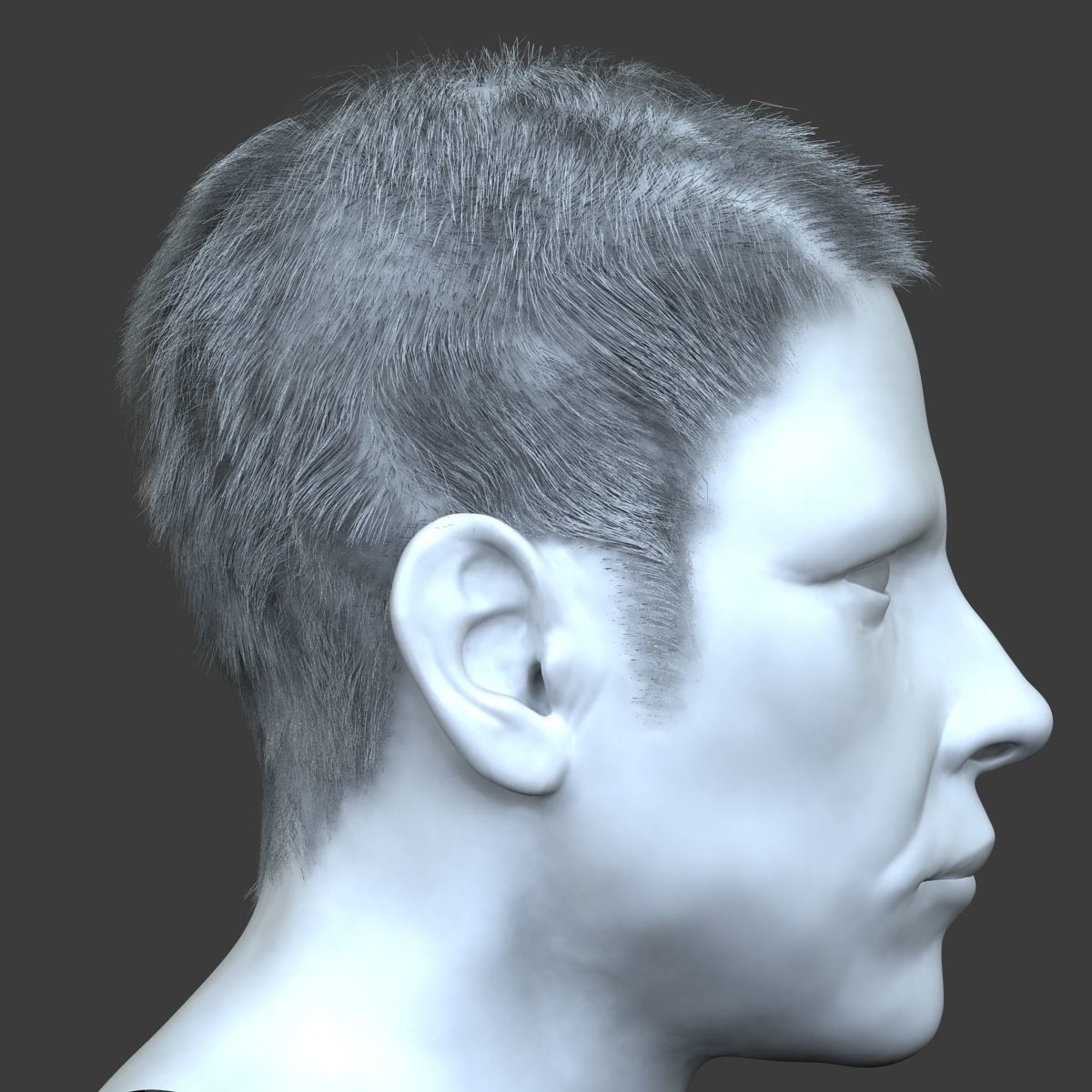 Male Hair 3D model_1