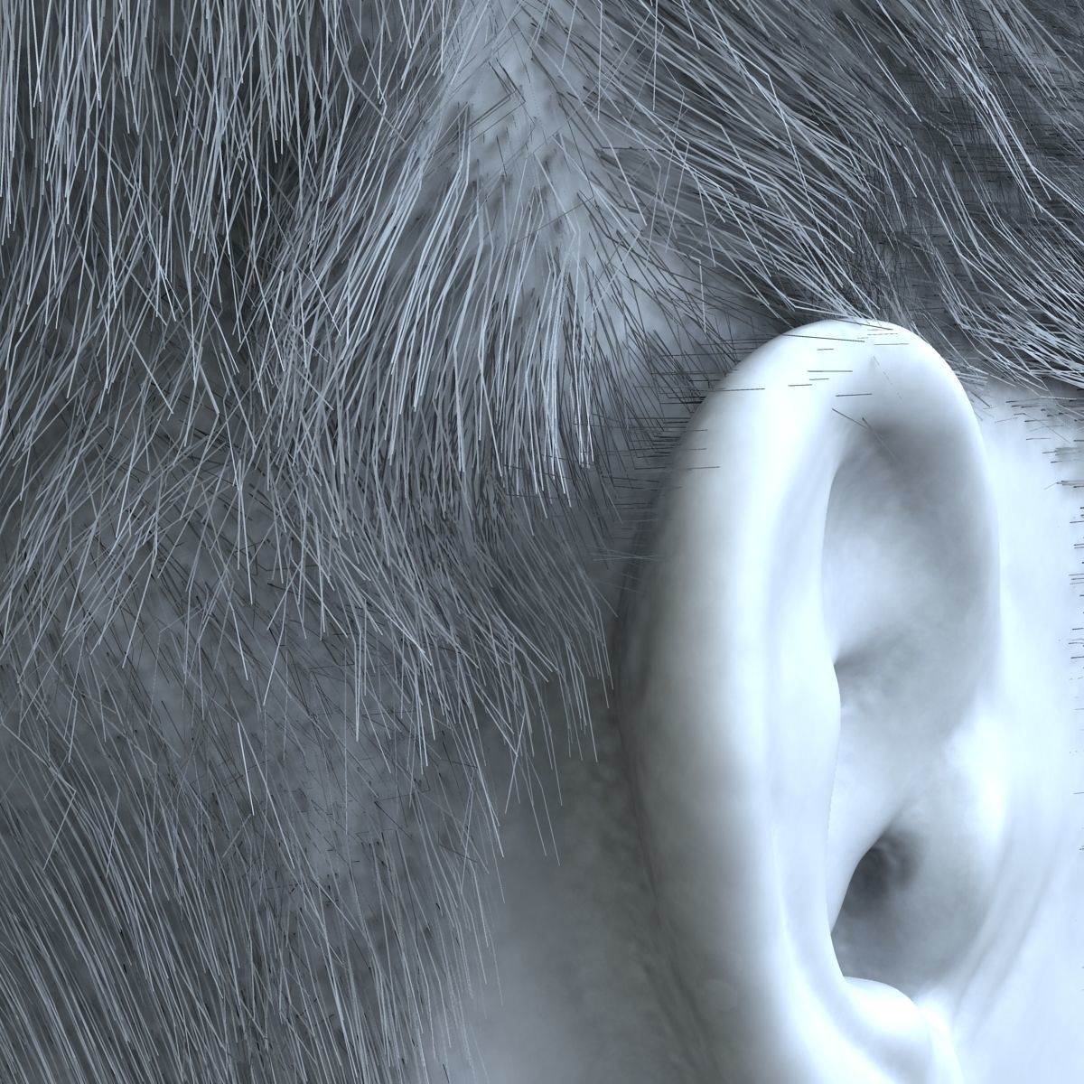 Male Hair 3D model_5