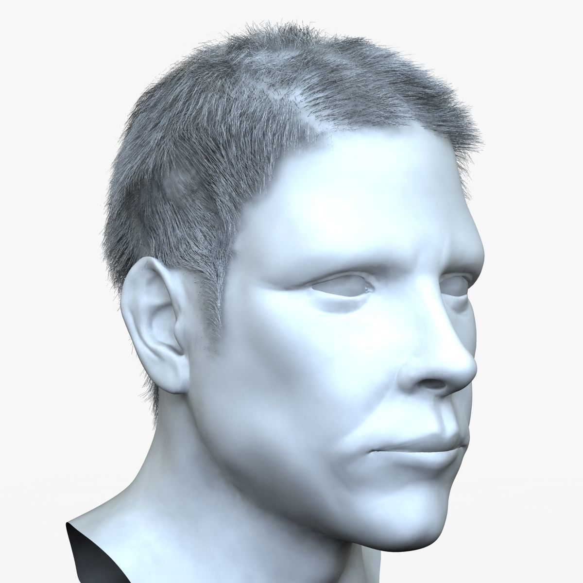 Male Hair 3D model_2