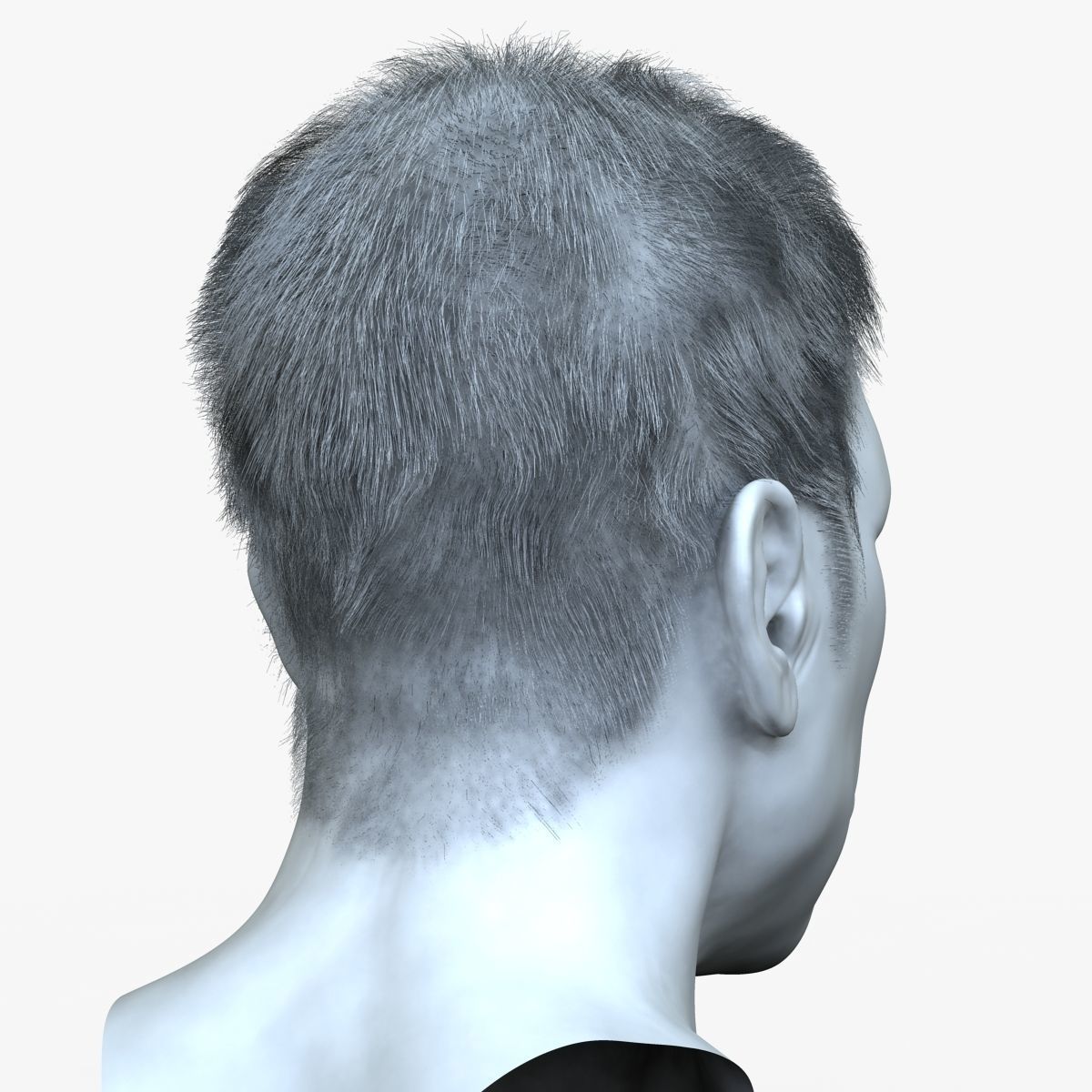 Male Hair 3D model_3