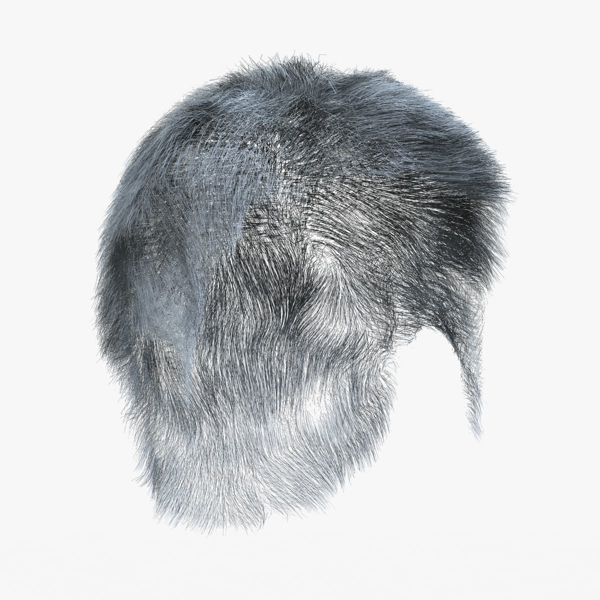 Male Hair 3D model_7