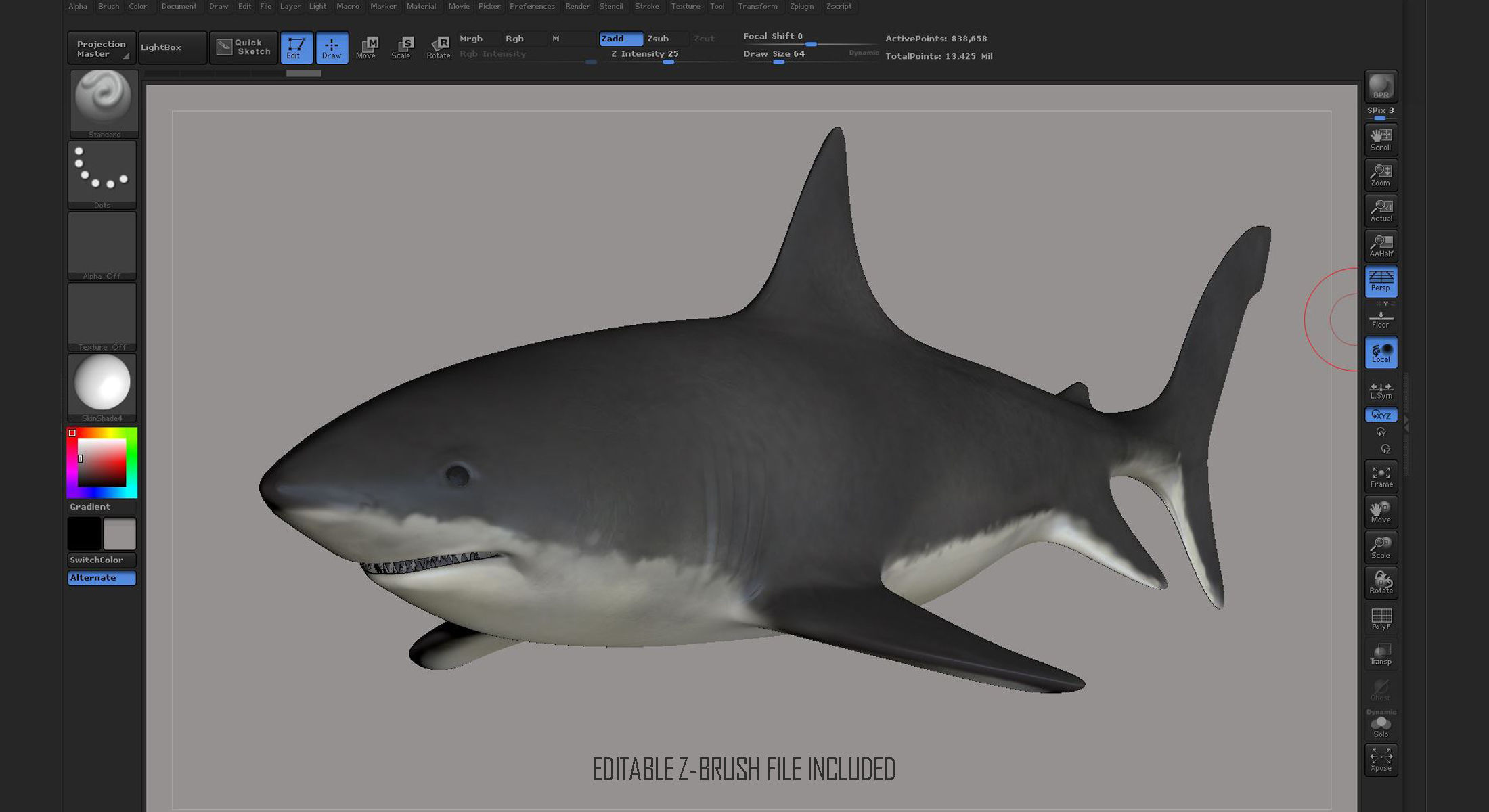 Great White Shark 3D model_9