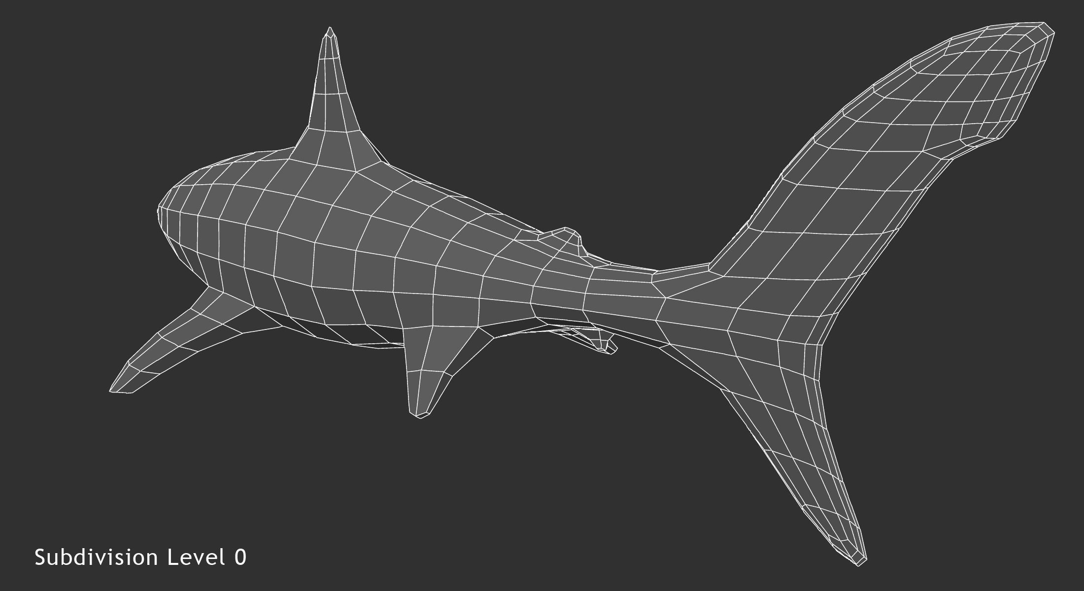 Great White Shark 3D model_13