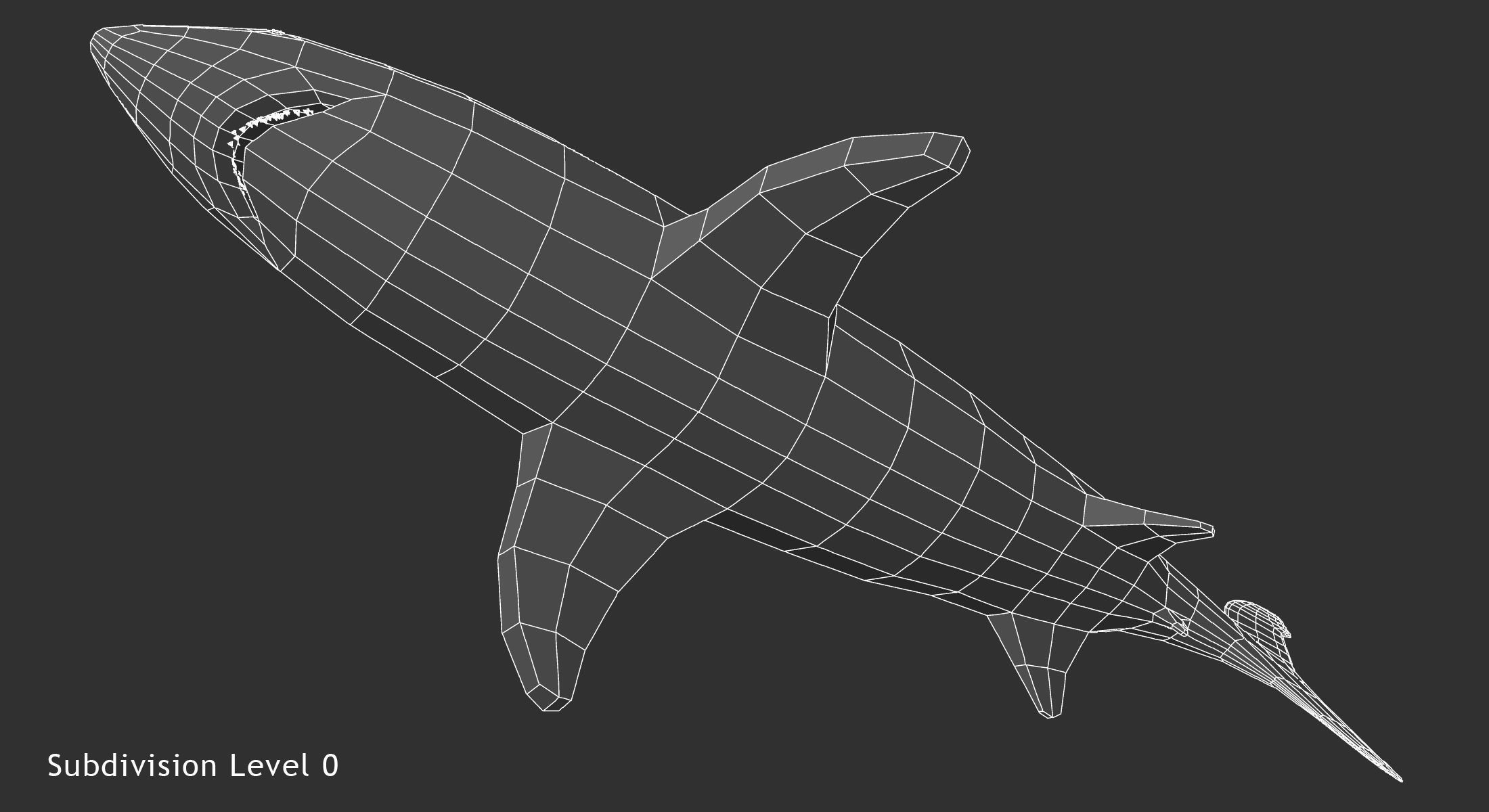 Great White Shark 3D model_12