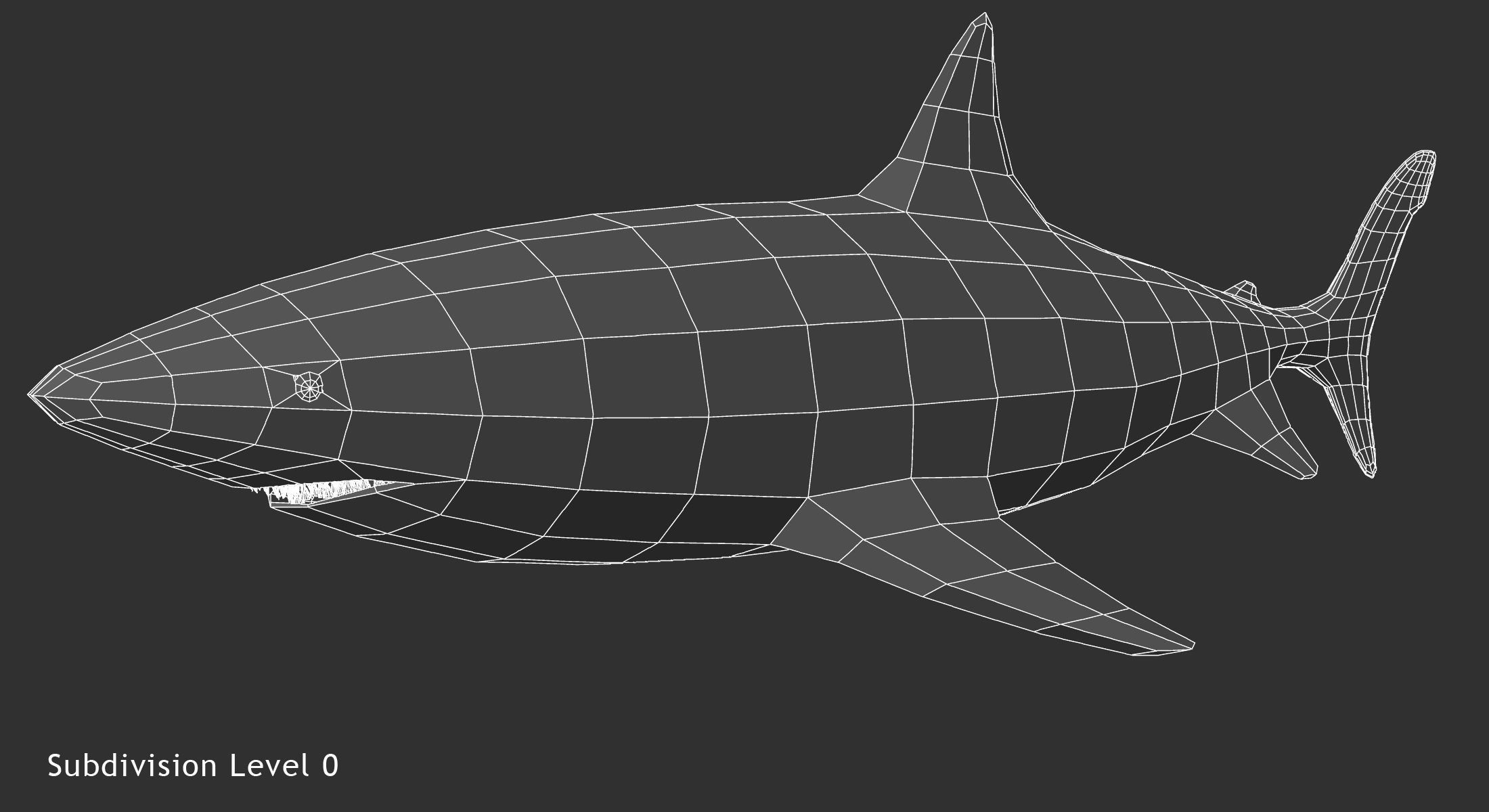 Great White Shark 3D model_10
