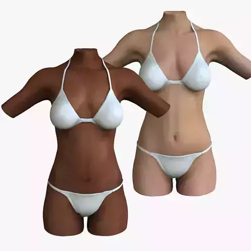 White and African American Female Torso