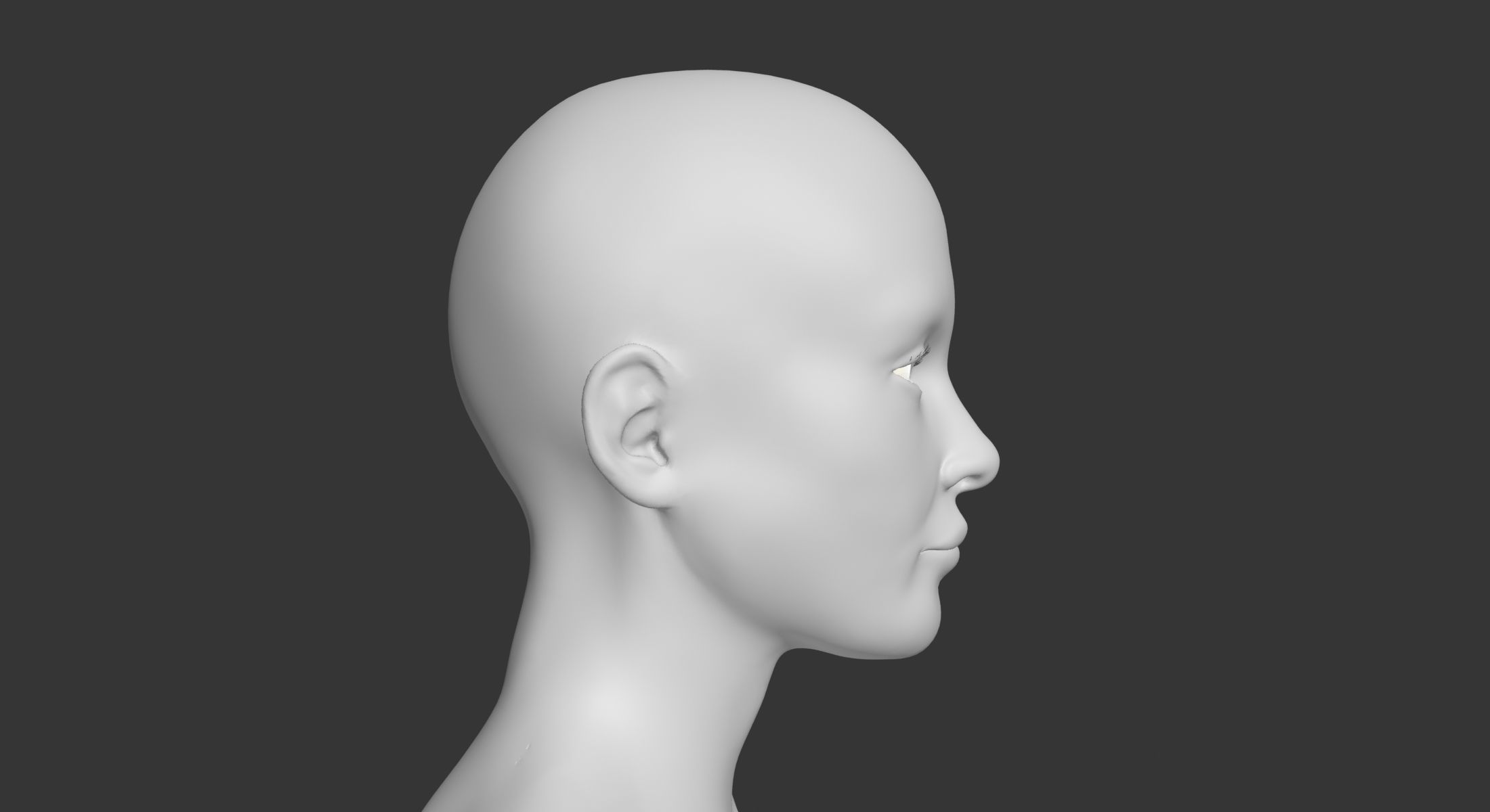 Female with Skeleton 3DSmax 3D model_25