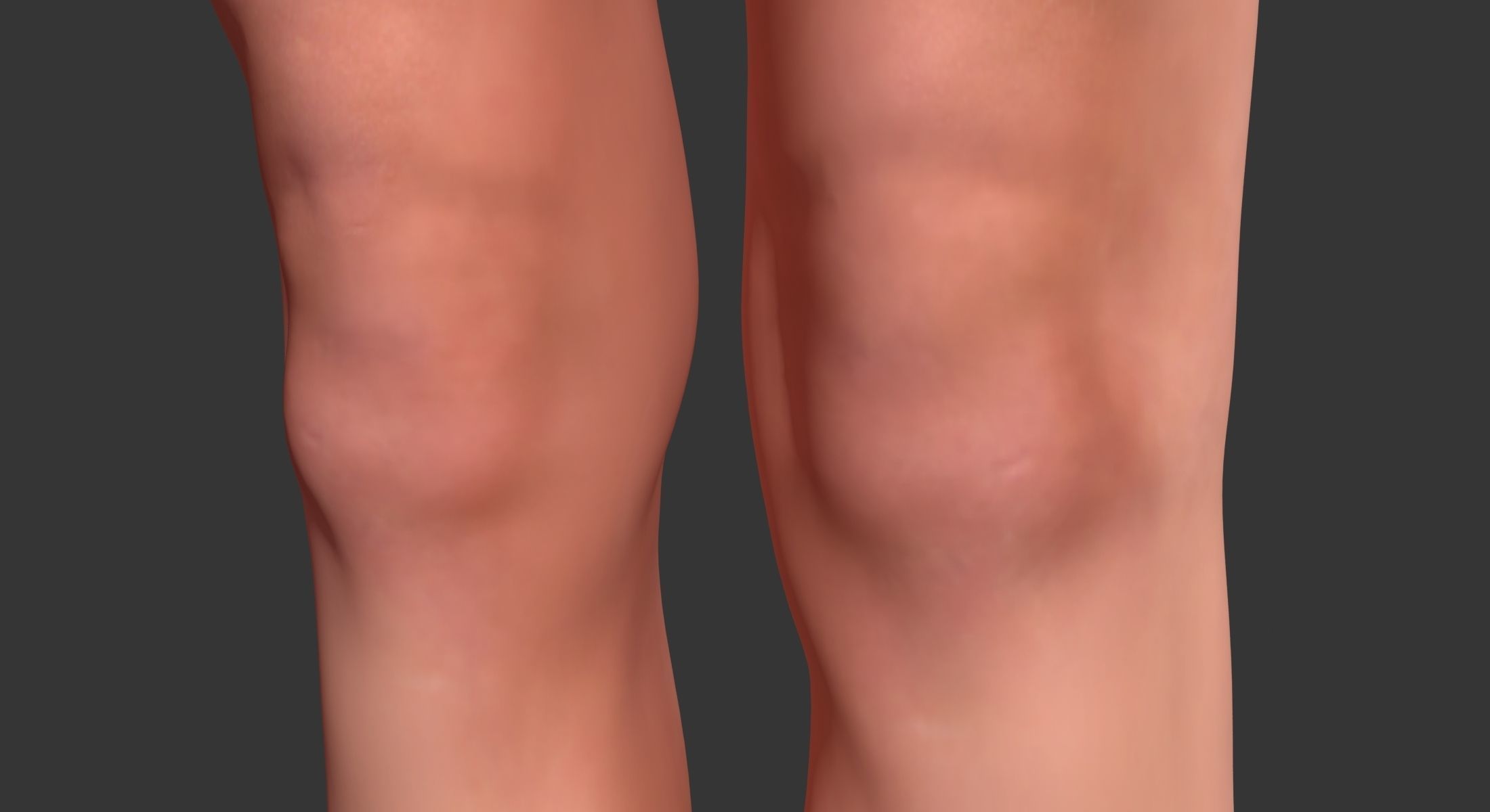 Female with Skeleton 3DSmax 3D model_15