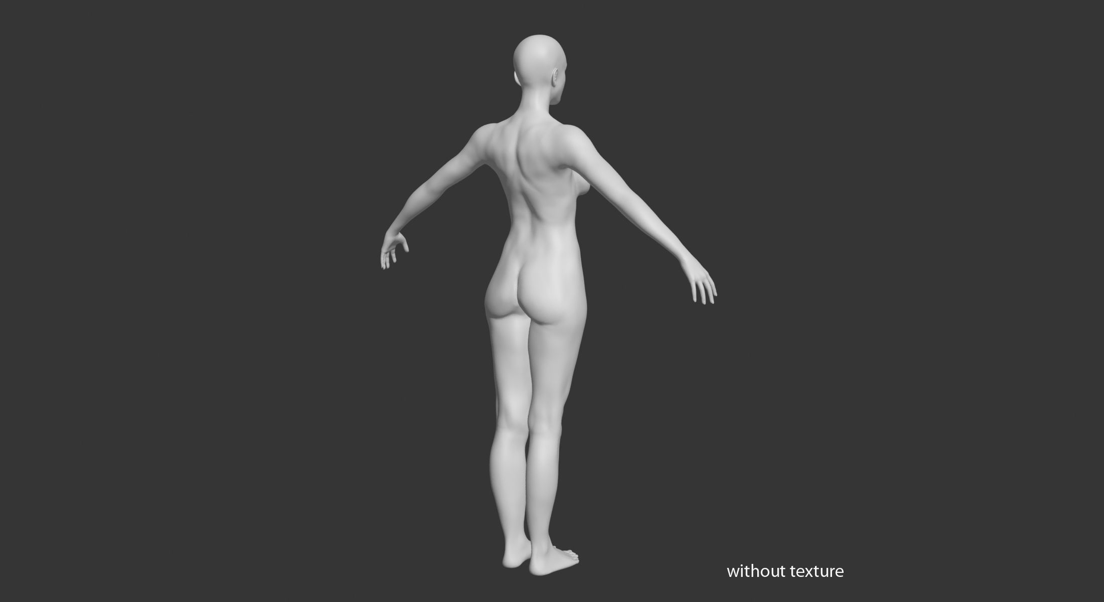 Female with Skeleton 3DSmax 3D model_24
