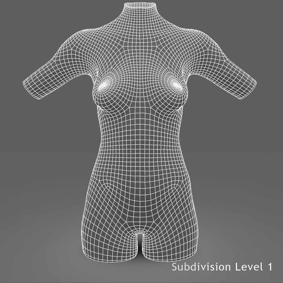 African American Female Torso Skin Texture 3D model_9