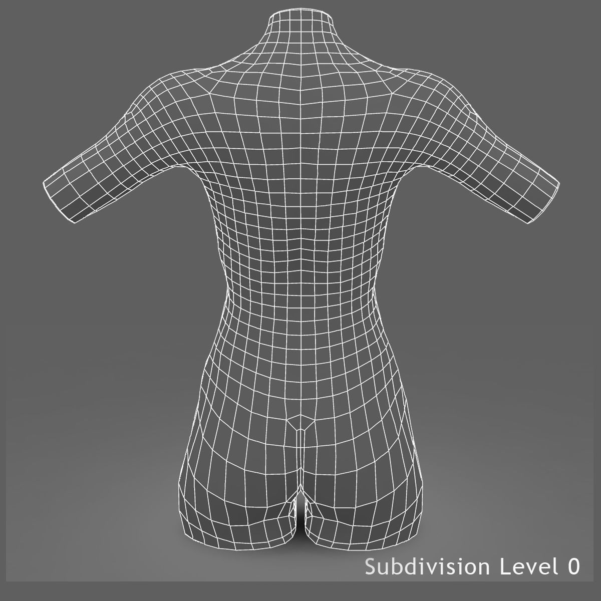 African American Female Torso Skin Texture 3D model_14