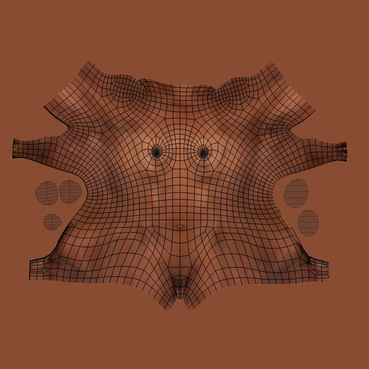 African American Female Torso Skin Texture 3D model_16
