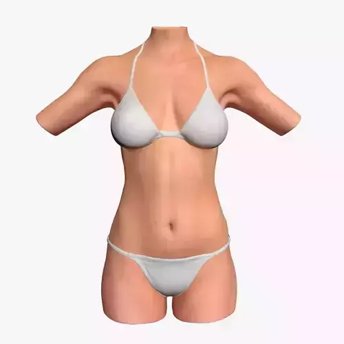 Female Torso 3D Studio Max