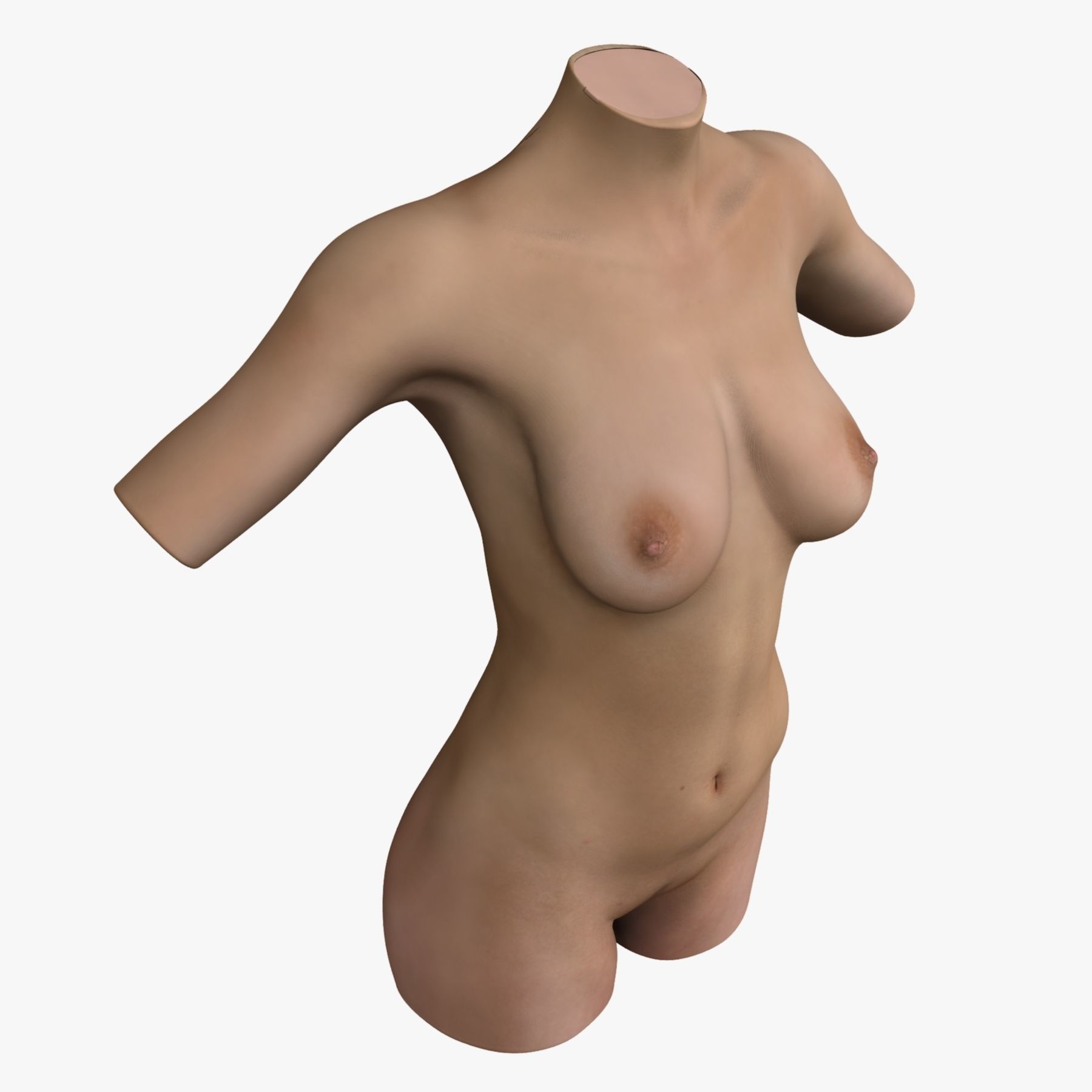 White Female Body Torso 3D model_7