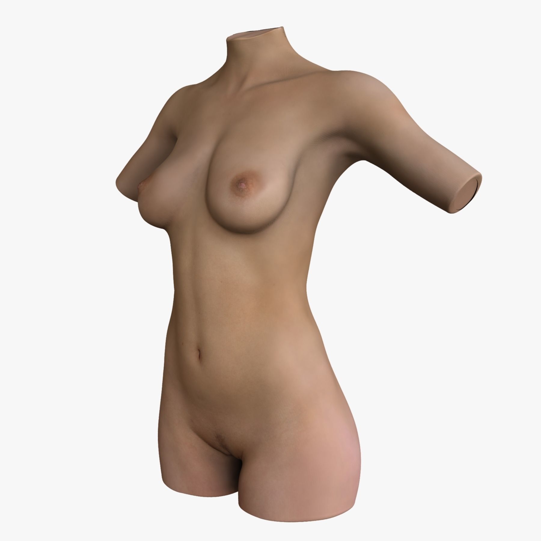White Female Body Torso 3D model_5