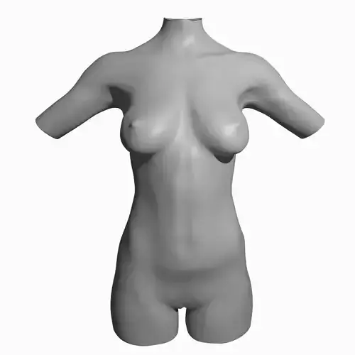 Female Mannequin Torso