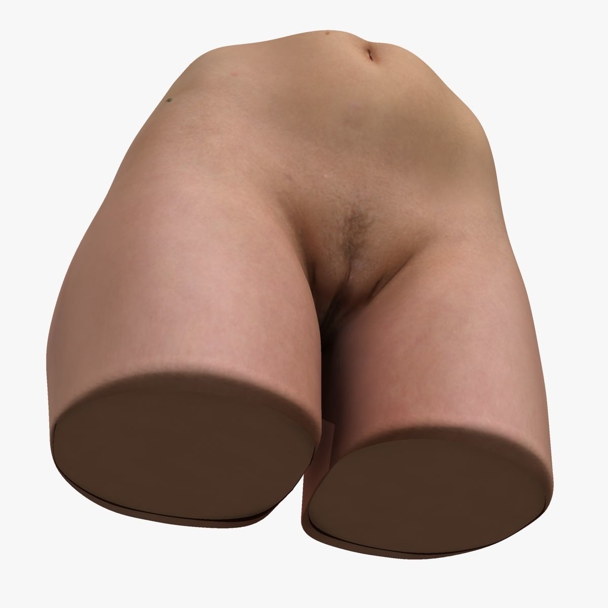 Detailed Female Reproductive System Medical Edition 3D model_7