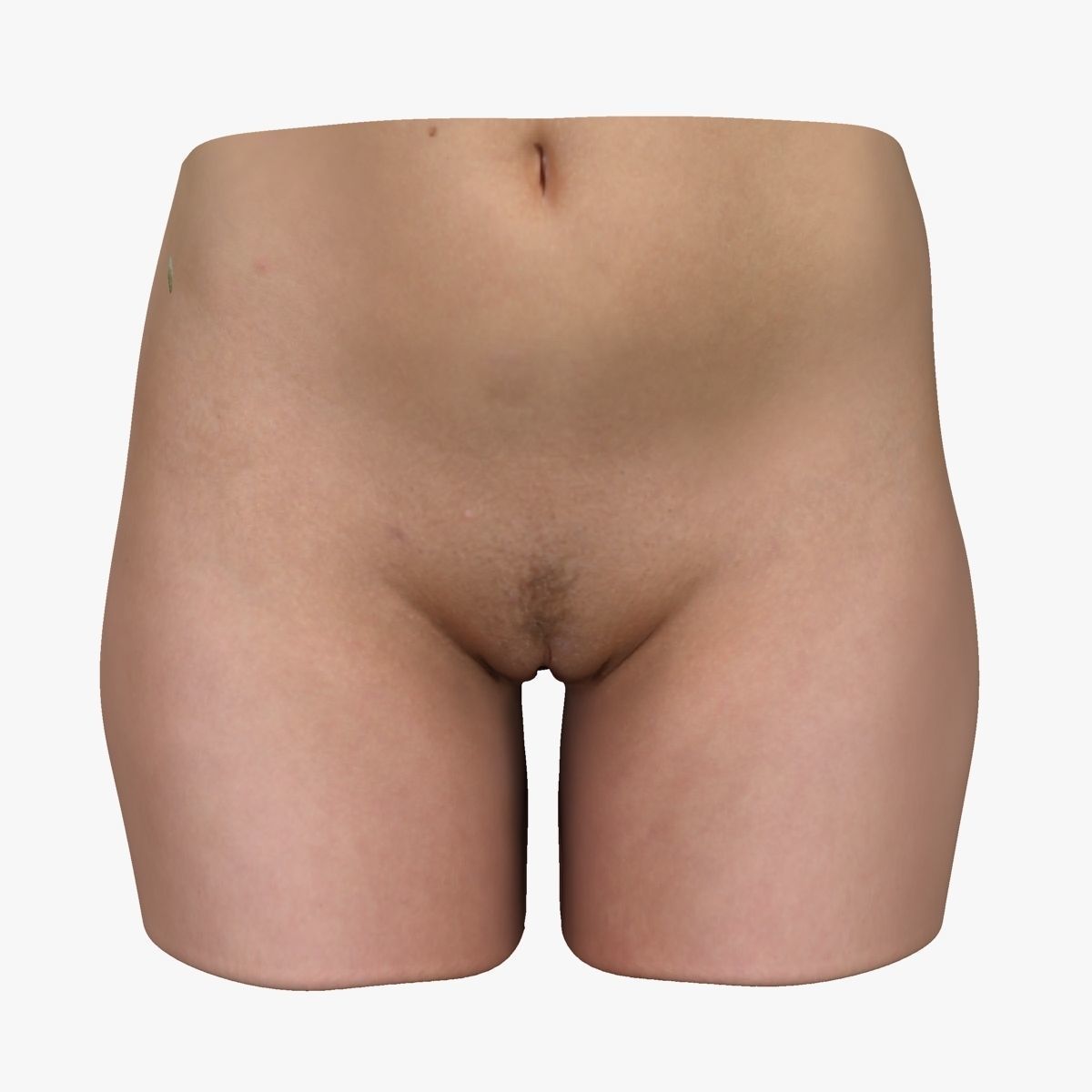 Detailed Female Reproductive System Medical Edition 3D model_6