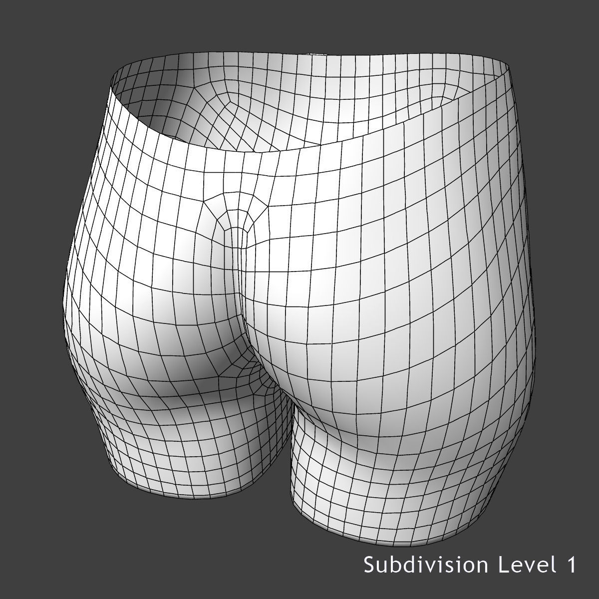 Detailed Female Reproductive System Medical Edition 3D model_19