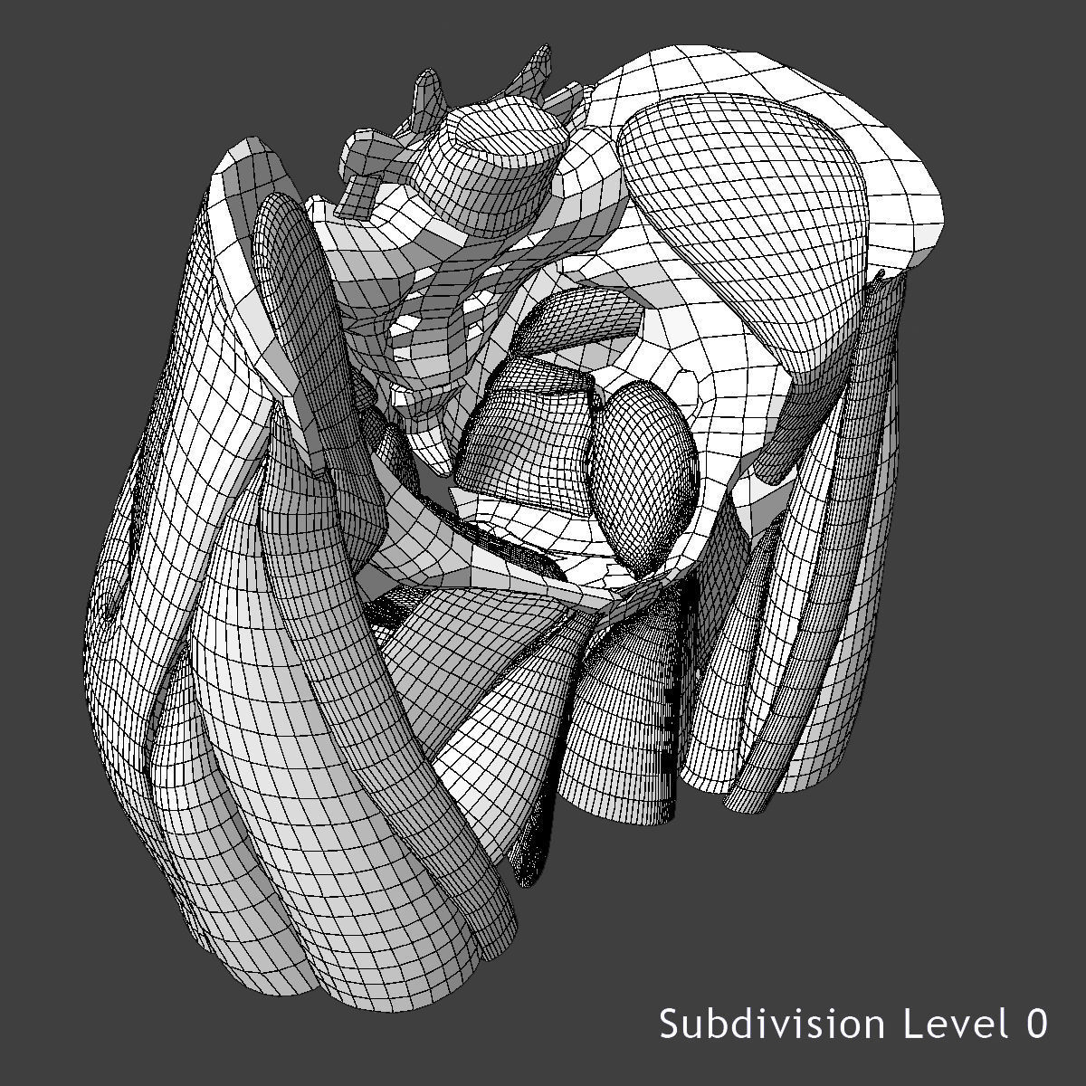 Detailed Female Reproductive System Medical Edition 3D model_20