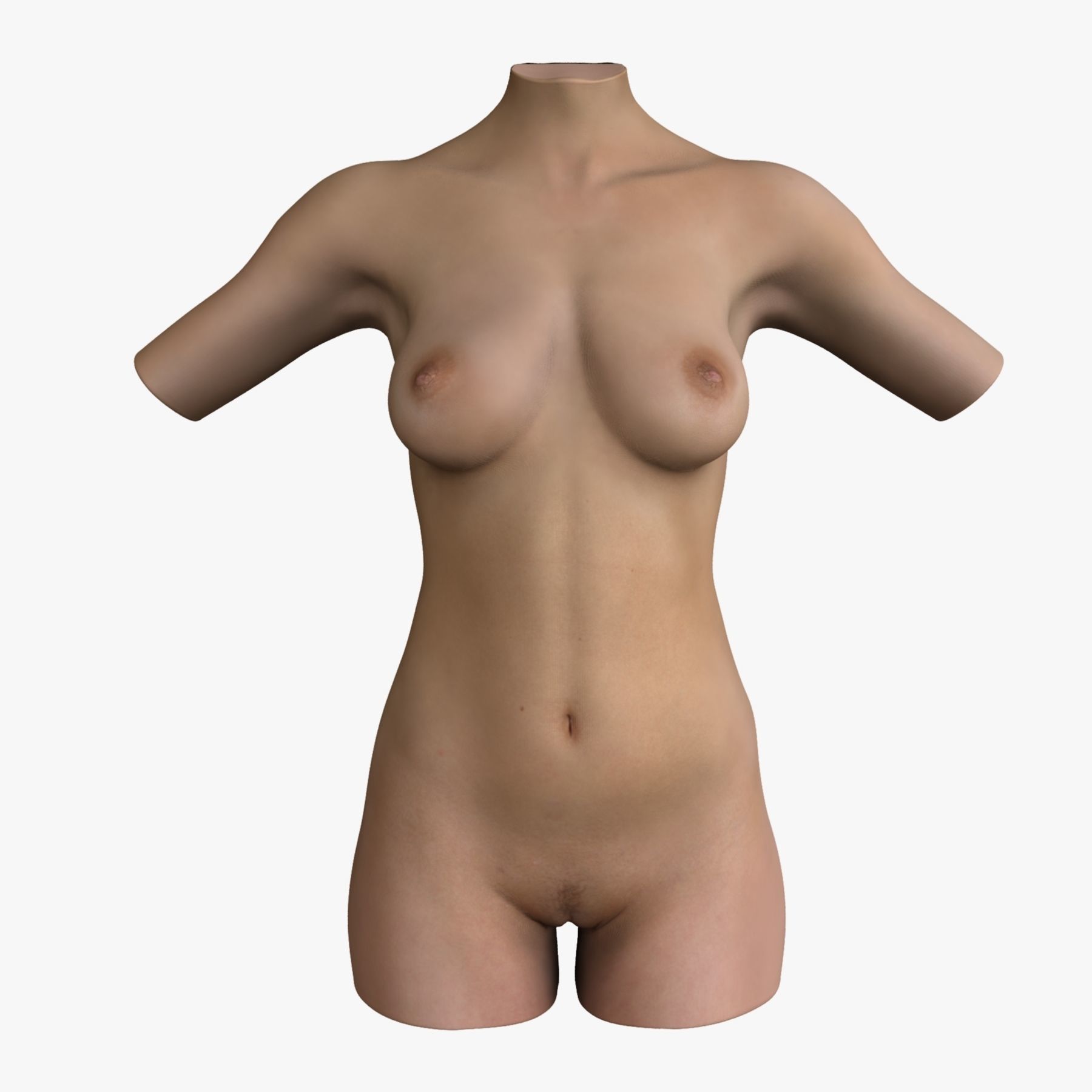 Caucasian and African American Female Torso 3D model_1