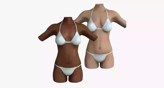 Caucasian and African American Female Torso