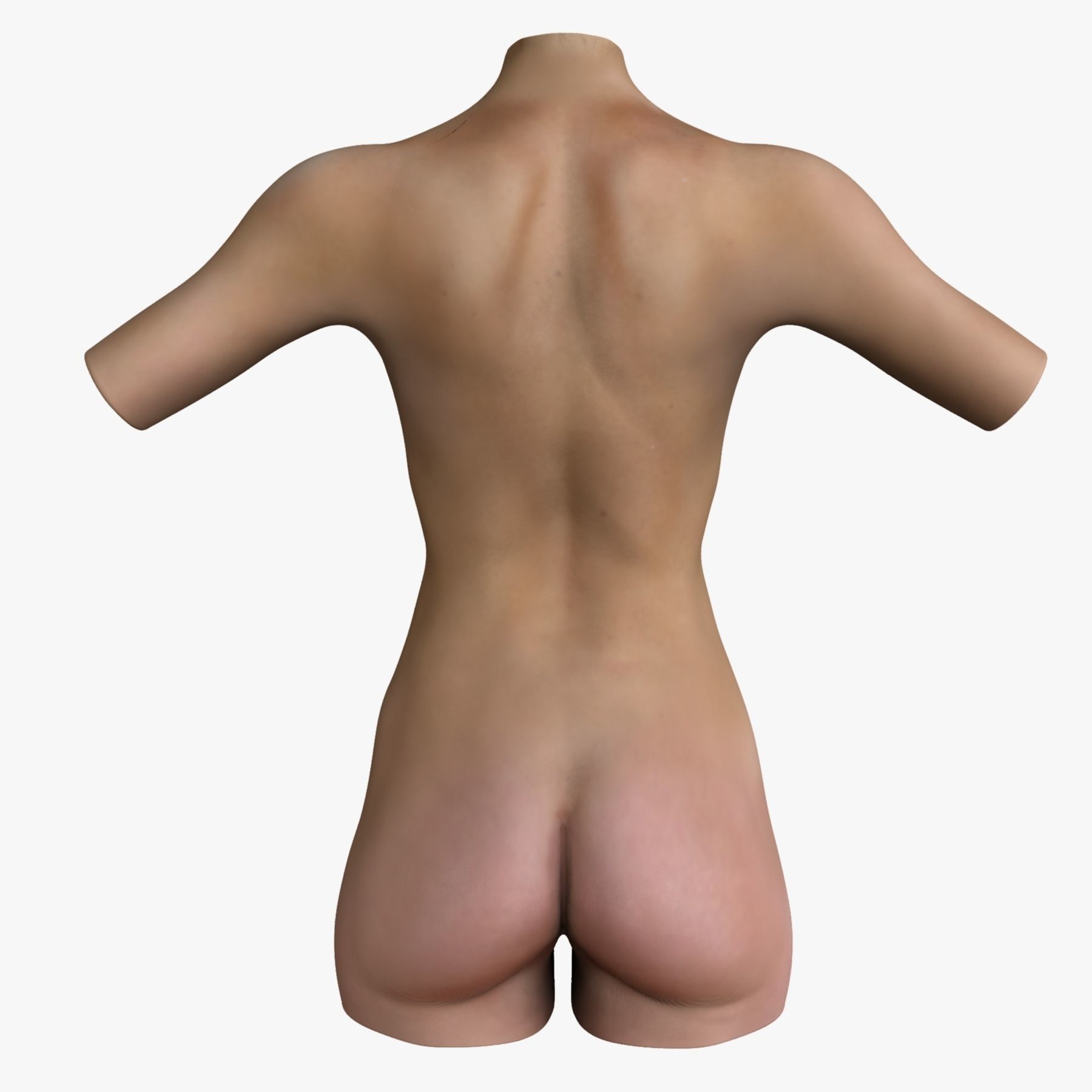Caucasian and African American Female Torso 3D model_4
