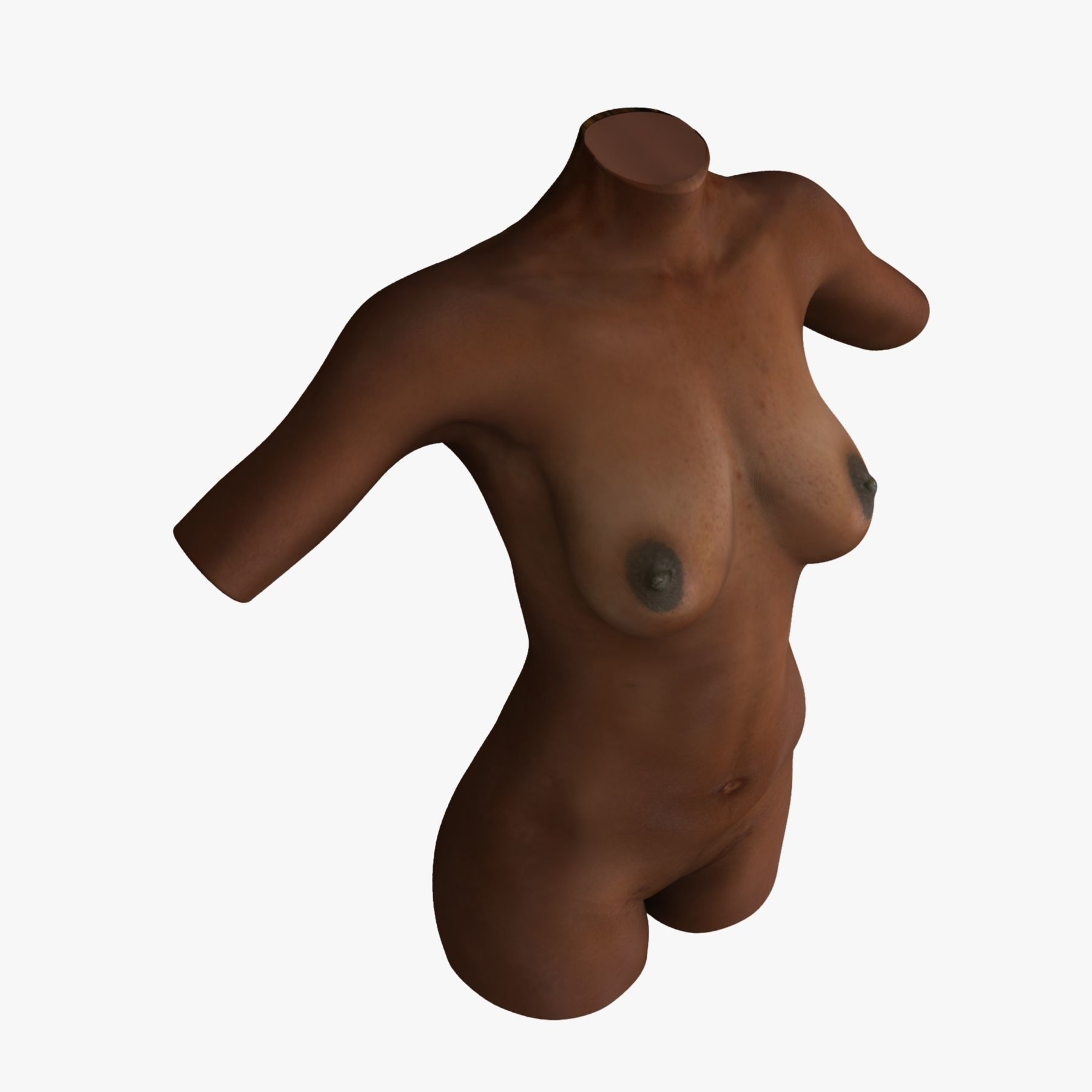 Caucasian and African American Female Torso 3D model_14