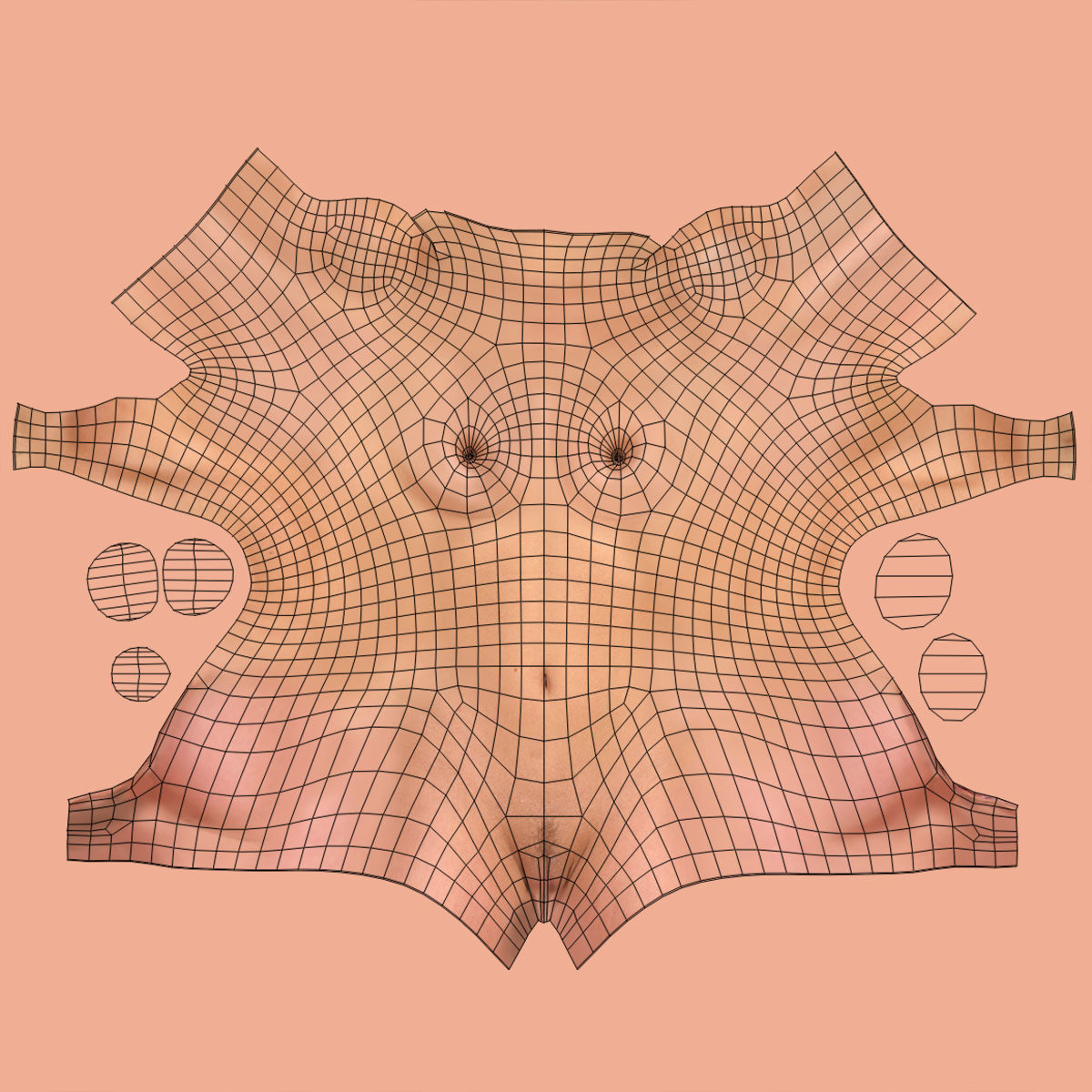 Caucasian and African American Female Torso 3D model_27