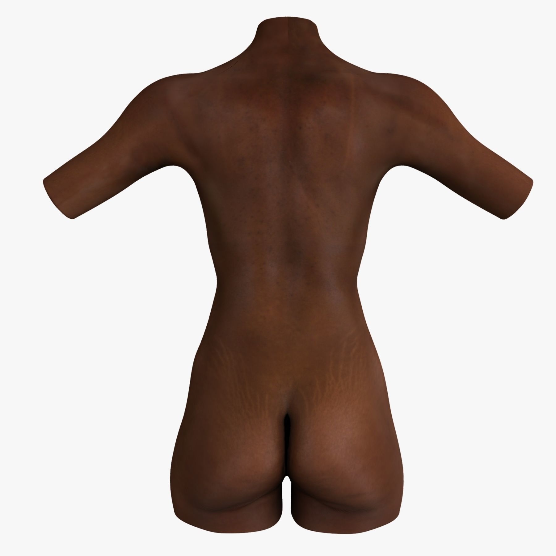 Caucasian and African American Female Torso 3D model_15