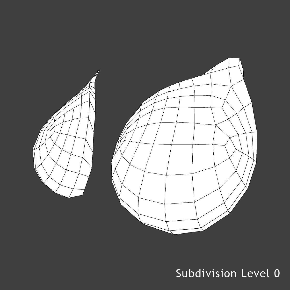 Detailed Full Female Body Anatomy 3D model_44