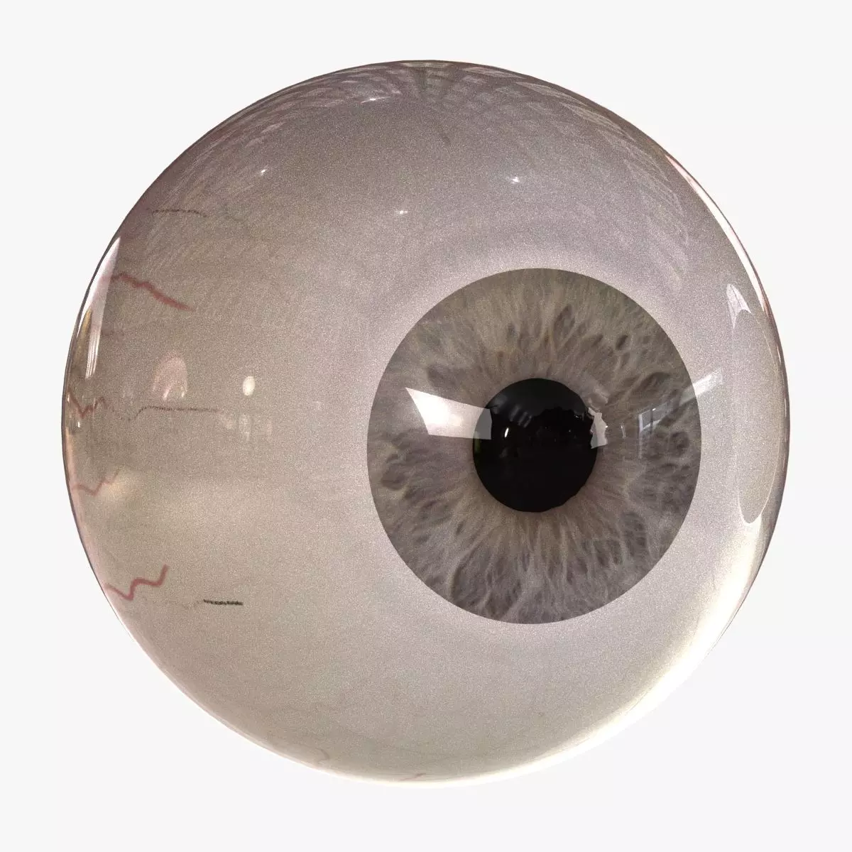 Rigged Eyes 3D model