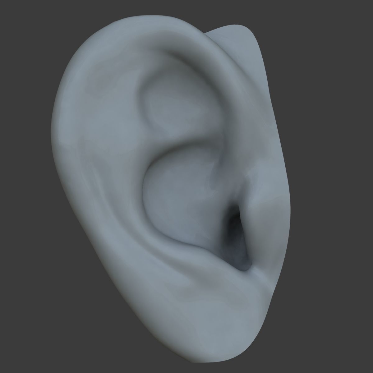 Human Ear 3D model_2