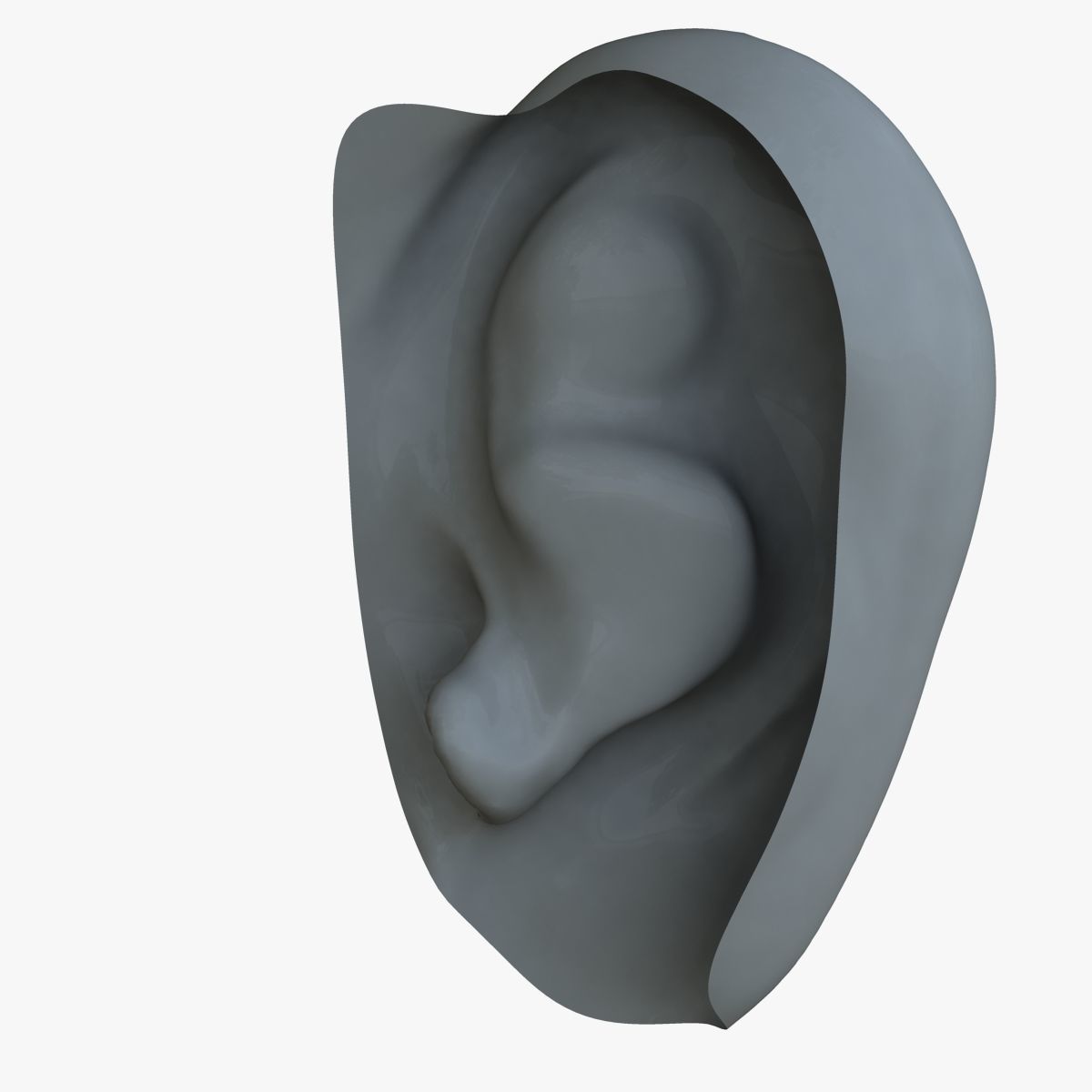 Human Ear 3D model_3