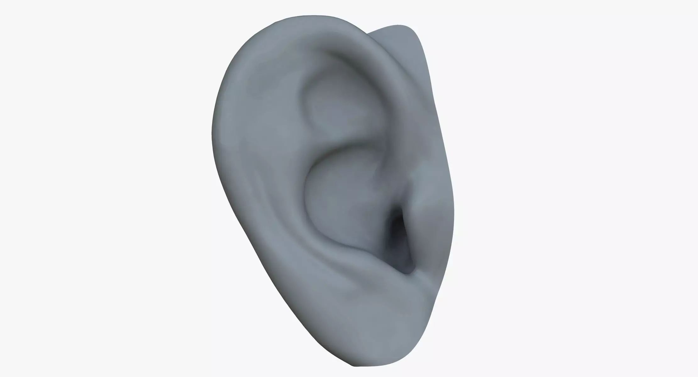 Human Ear 3D model_0