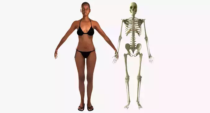 African American Female With Skeleton Rigged 3D model