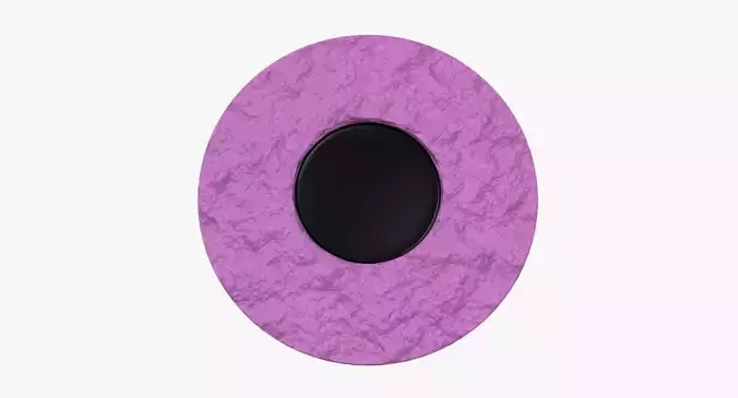 3D Coconut Wheel 3D model