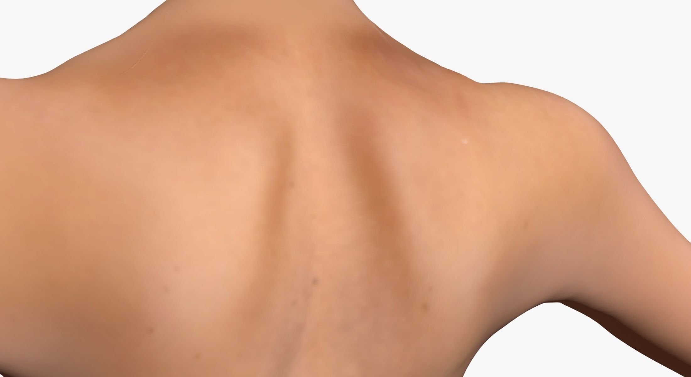 Full Female Body Anatomy 3DSmax 3D model_23